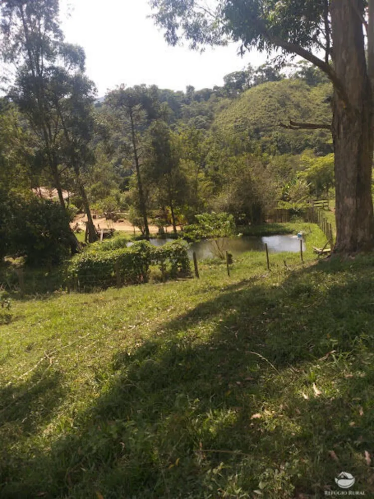 Fazenda, 61 hectares - Foto 4