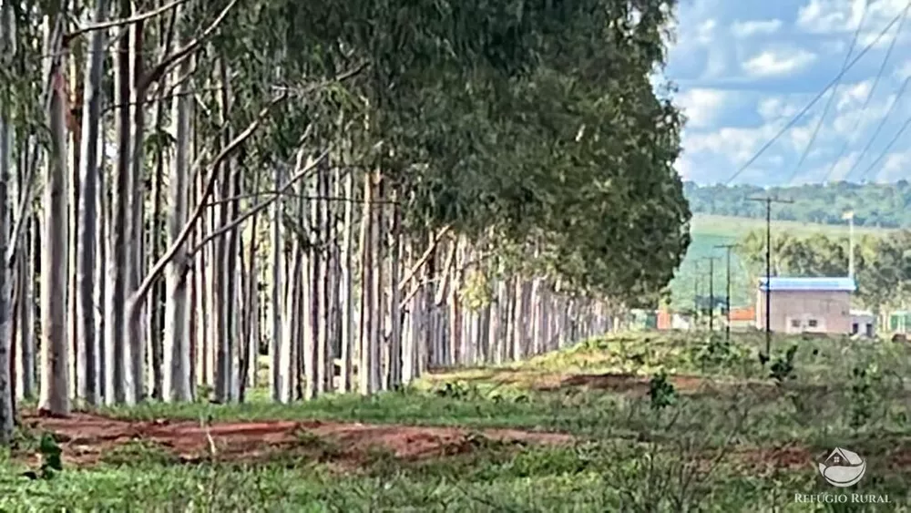 Fazenda, 68 hectares - Foto 1