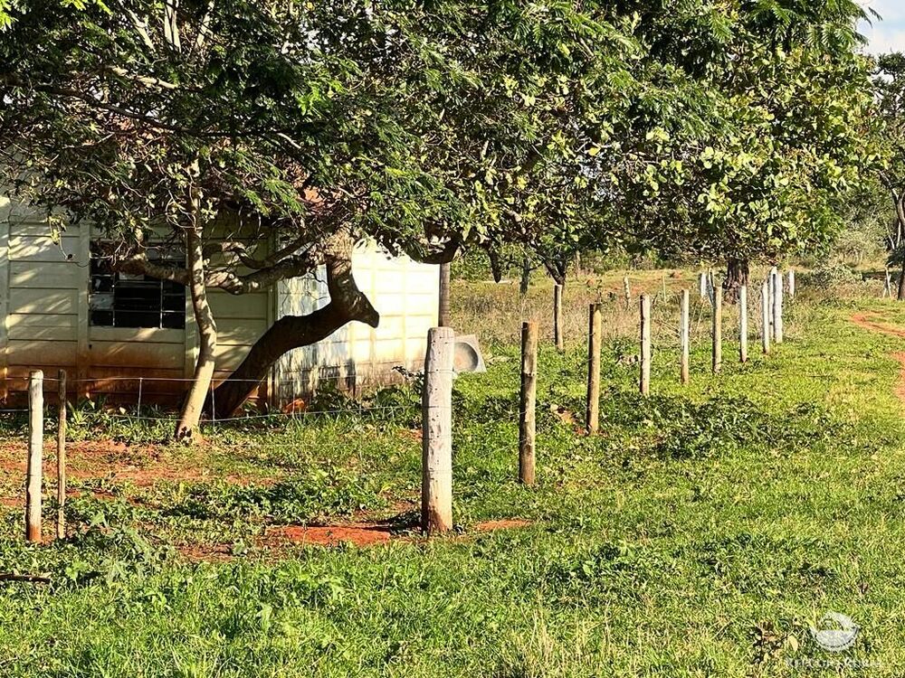 Fazenda à venda com 3 quartos, 683000m² - Foto 2