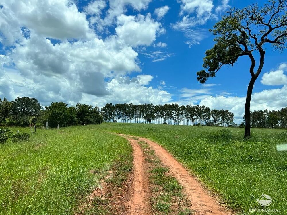 Fazenda à venda com 3 quartos, 683000m² - Foto 1