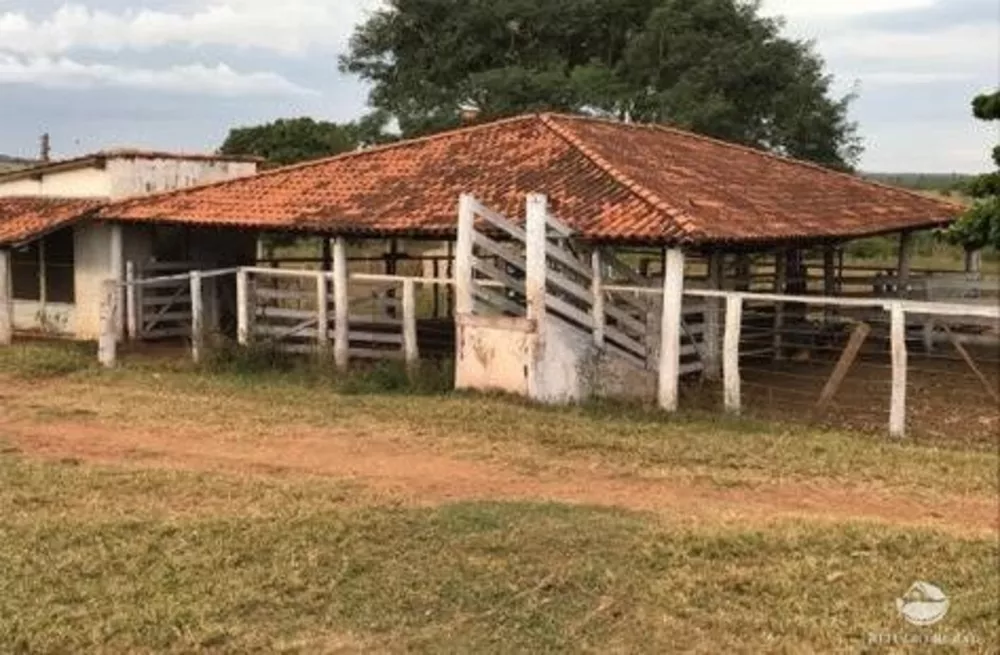 Fazenda, 68 hectares - Foto 8