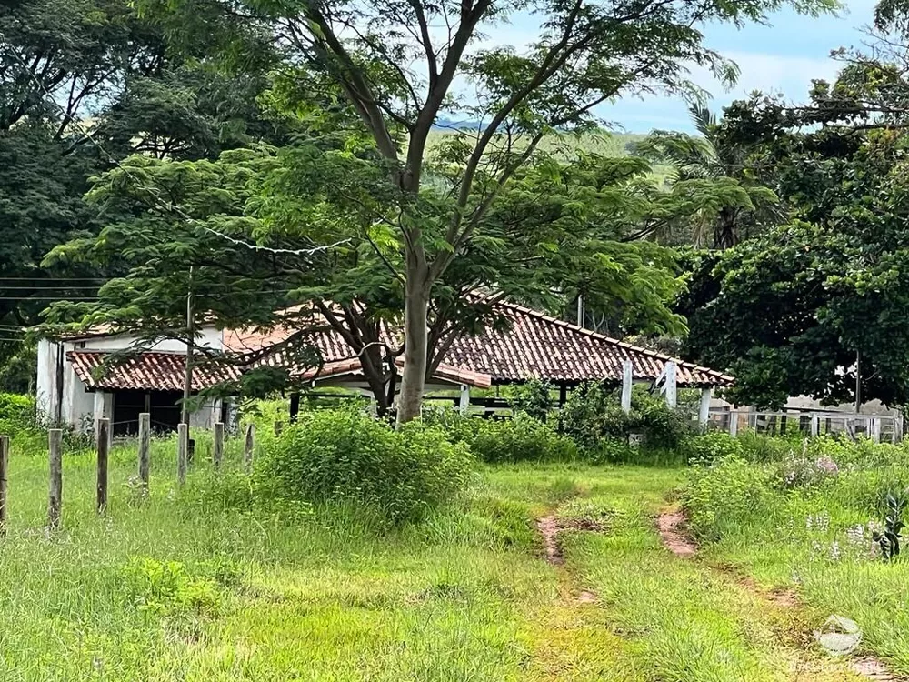 Fazenda, 68 hectares - Foto 3