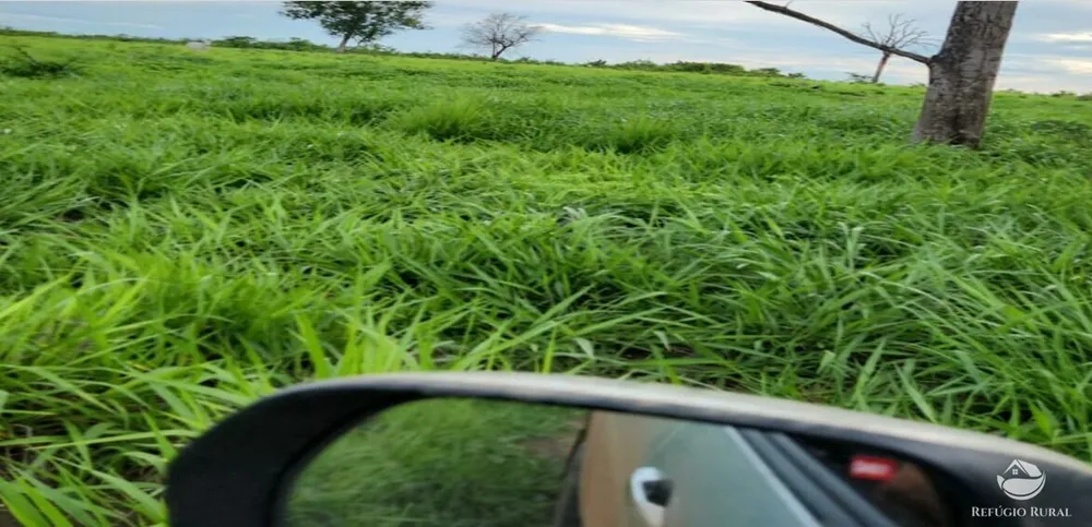 Fazenda, 5058 hectares - Foto 12