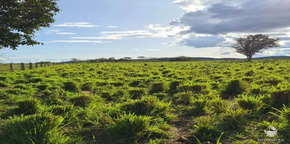 Fazenda, 5058 hectares - Foto 4
