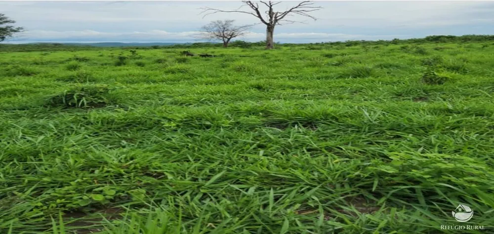 Fazenda, 5058 hectares - Foto 10