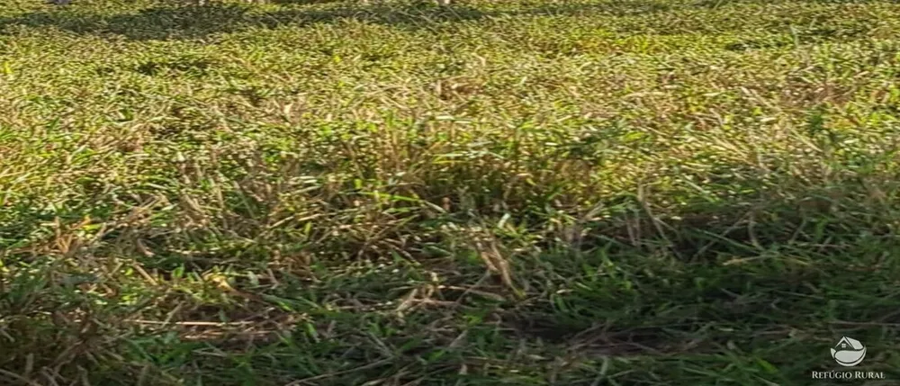 Fazenda, 5058 hectares - Foto 6
