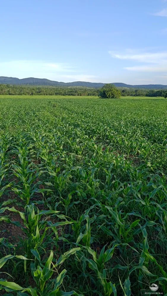 Fazenda, 5058 hectares - Foto 16