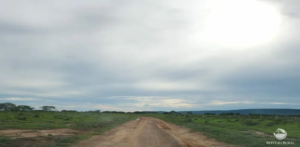 Fazenda, 5058 hectares - Foto 8