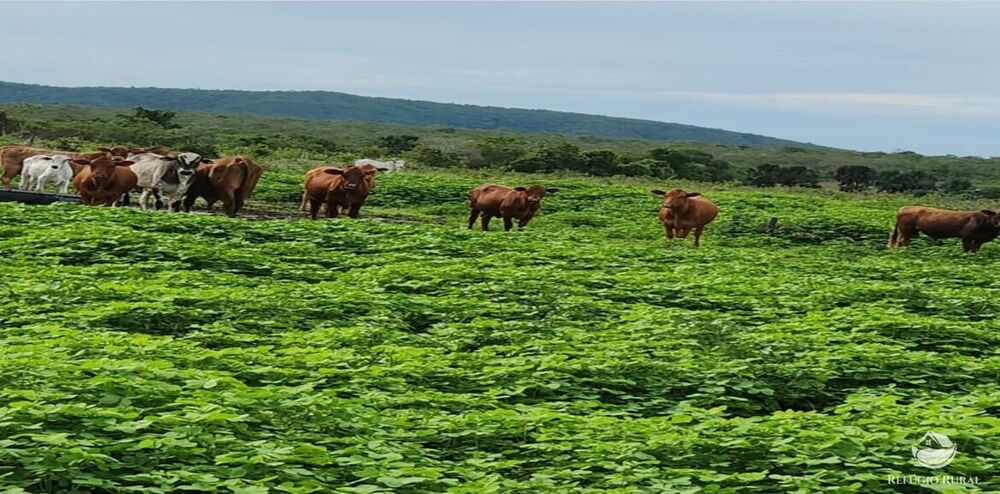 Fazenda à venda com 6 quartos, 50578000m² - Foto 1