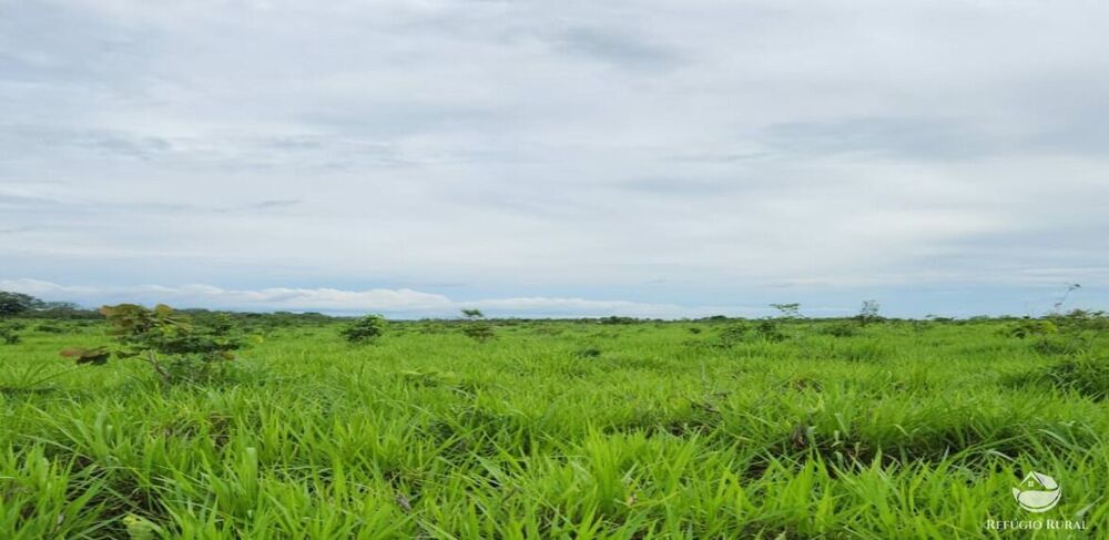 Fazenda à venda com 6 quartos, 50578000m² - Foto 3