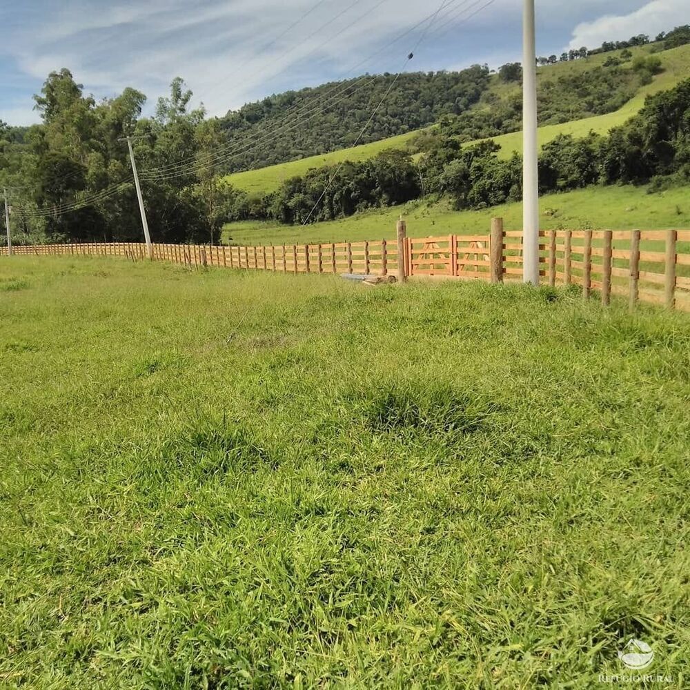 Sítio à venda com 3 quartos, 36300m² - Foto 4