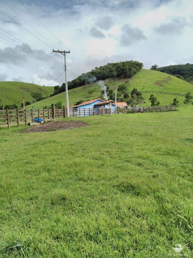 Sítio à venda com 3 quartos, 36300m² - Foto 3