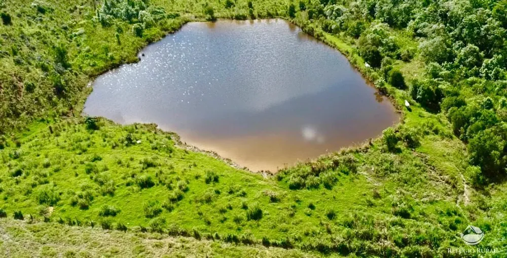 Terreno, 29 hectares - Foto 1