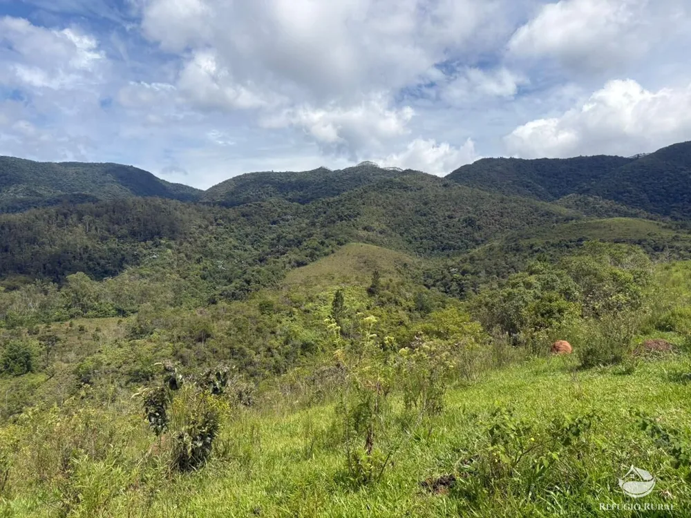 Terreno, 29 hectares - Foto 4