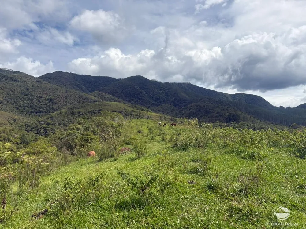 Terreno, 29 hectares - Foto 16