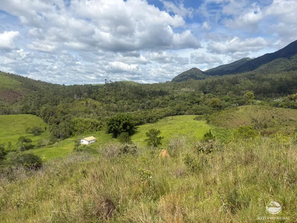 Terreno, 29 hectares - Foto 7