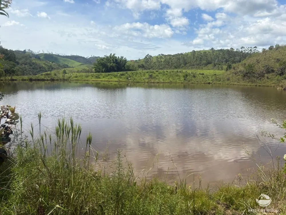 Terreno, 29 hectares - Foto 3