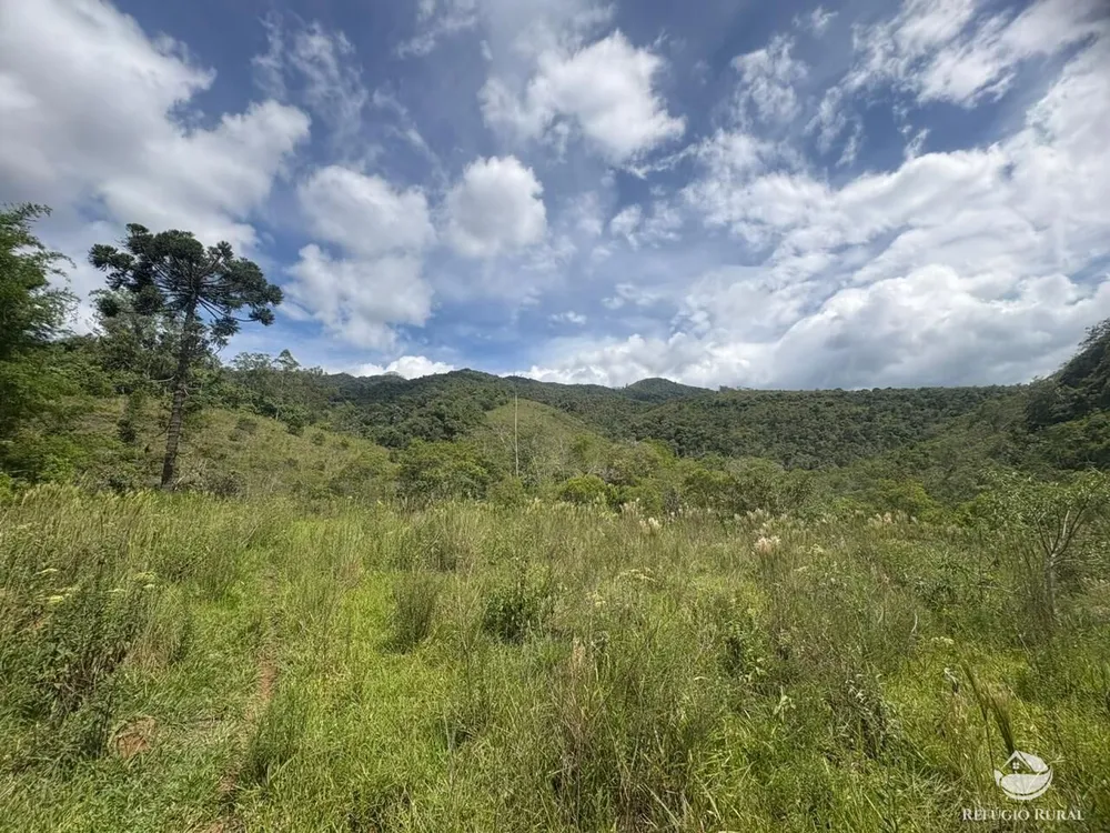 Terreno, 29 hectares - Foto 11