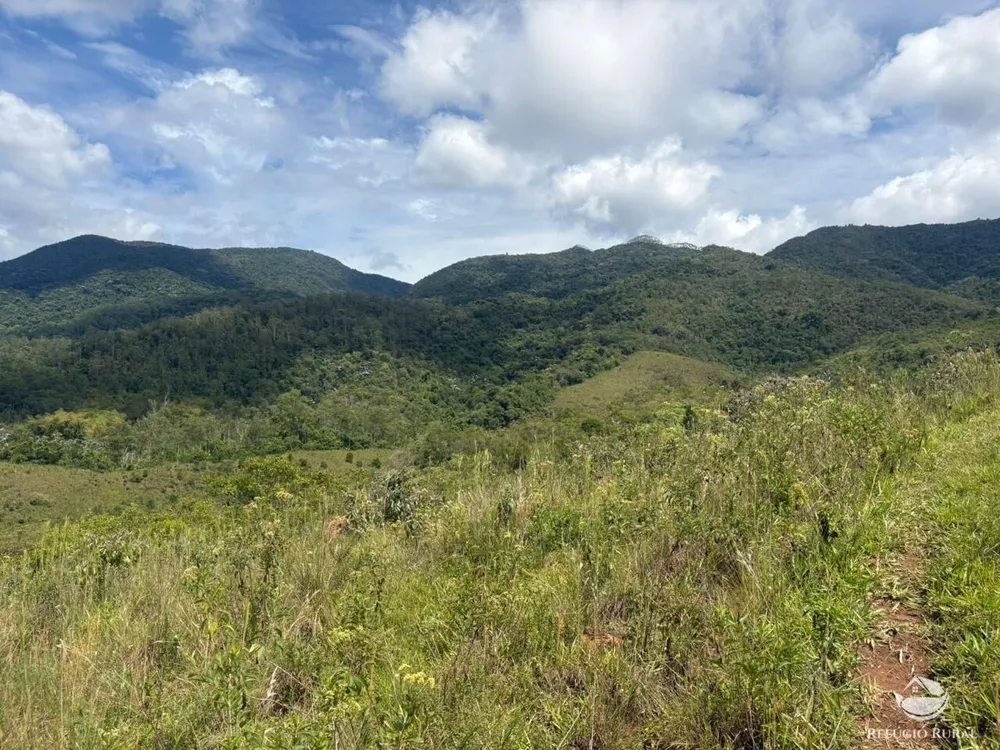 Terreno, 29 hectares - Foto 6