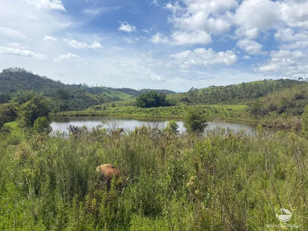Terreno, 29 hectares - Foto 15