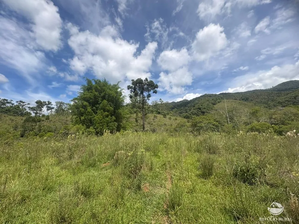 Terreno, 29 hectares - Foto 10