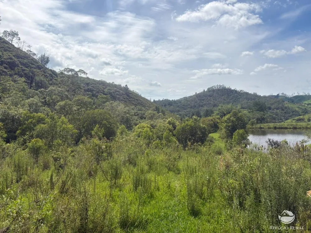 Terreno, 29 hectares - Foto 13