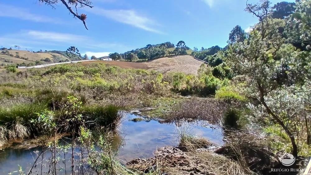 Chácara, 2 hectares - Foto 8