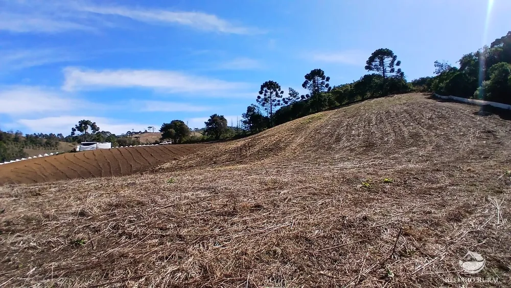 Chácara, 2 hectares - Foto 4