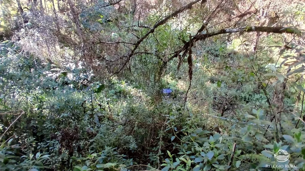 Chácara, 2 hectares - Foto 9
