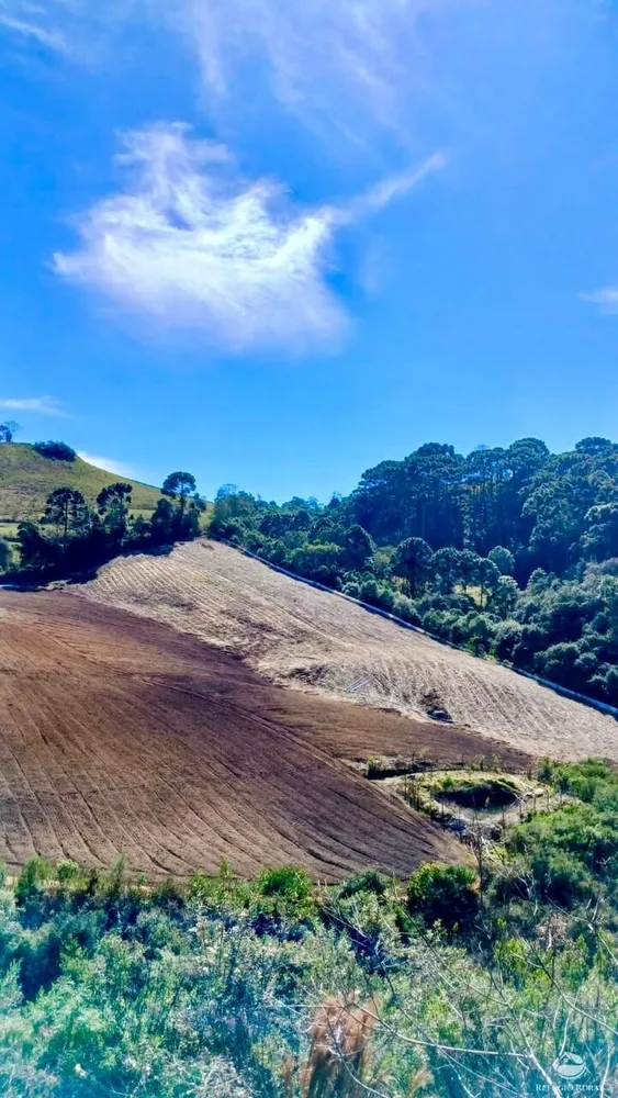 Chácara, 2 hectares - Foto 1