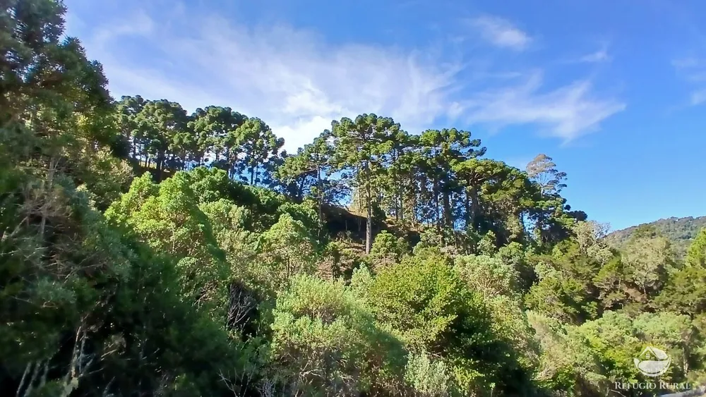 Chácara, 2 hectares - Foto 10