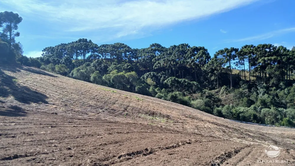 Chácara, 2 hectares - Foto 15