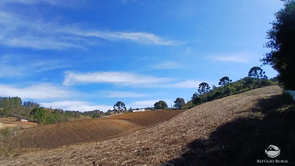 Chácara, 2 hectares - Foto 3
