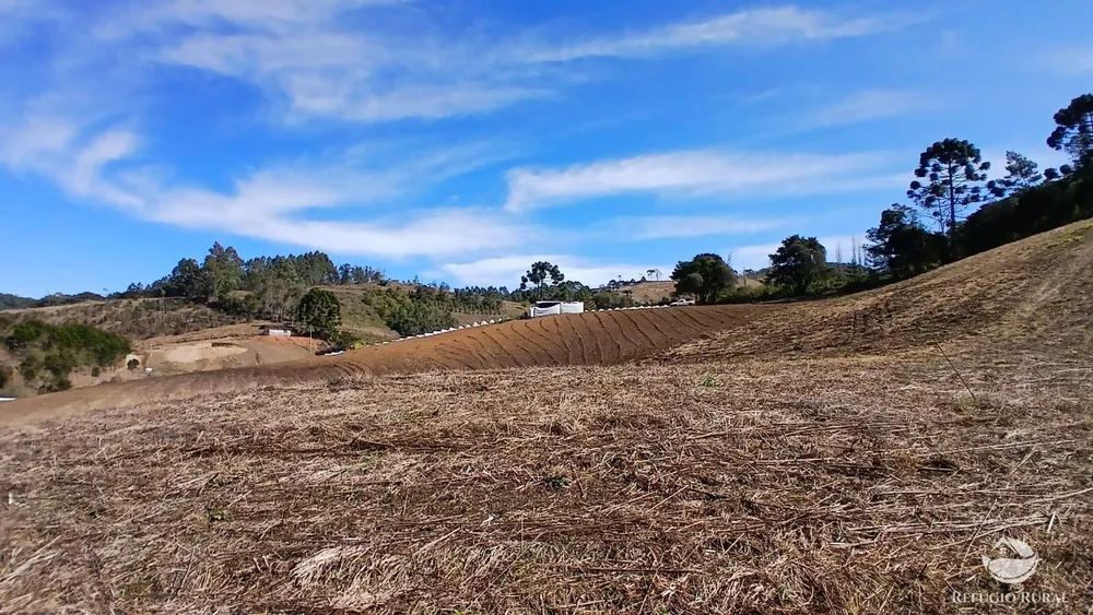 Chácara, 2 hectares - Foto 12