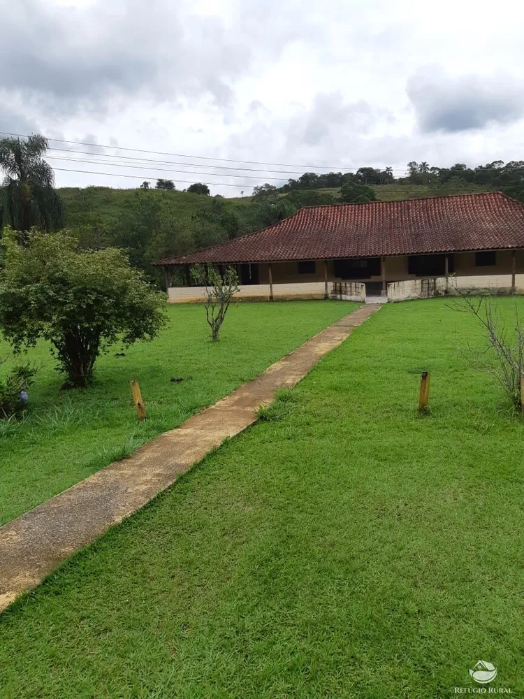 Chácara, 3 hectares - Foto 6