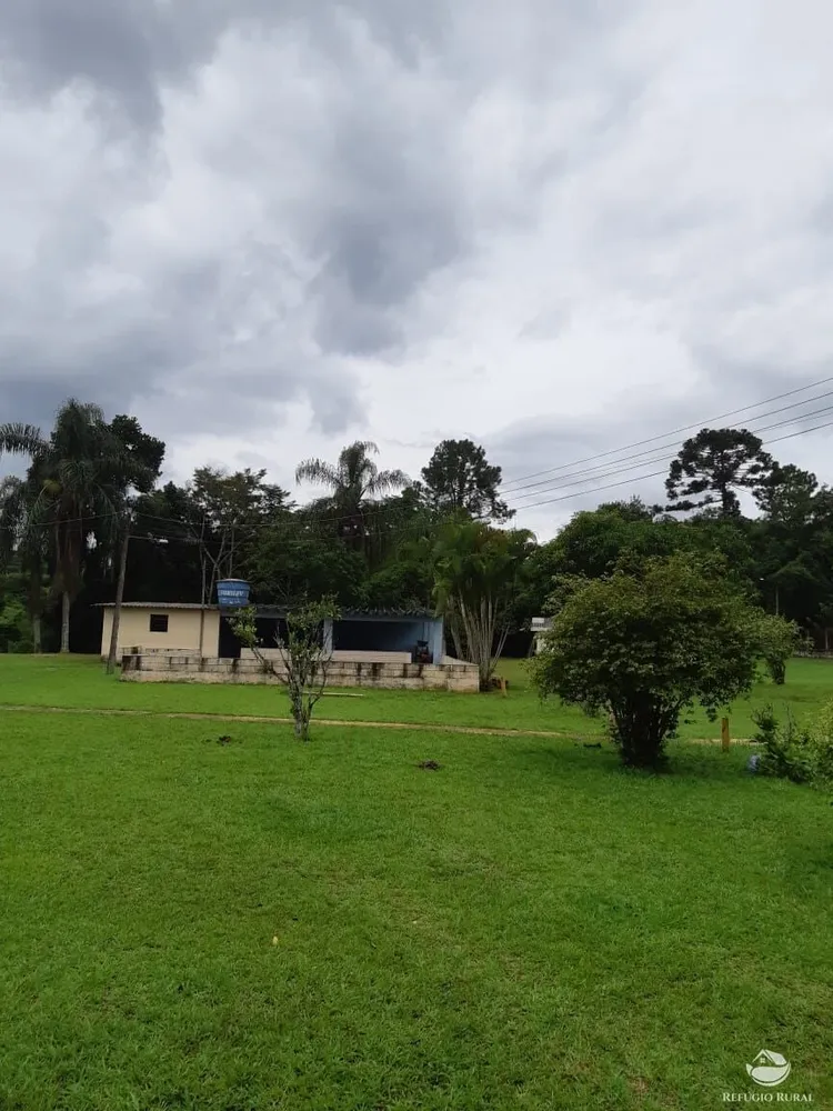 Chácara, 3 hectares - Foto 3