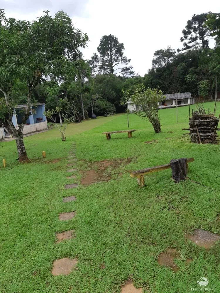 Chácara, 3 hectares - Foto 10