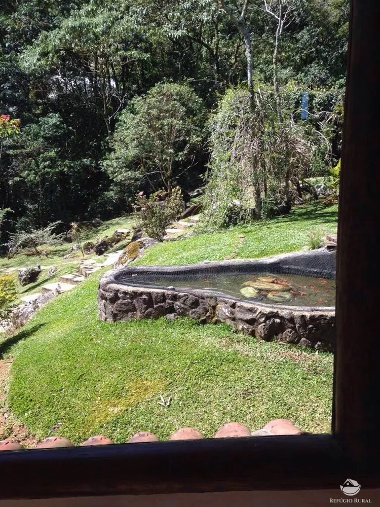 Sítio, 3 hectares - Foto 12