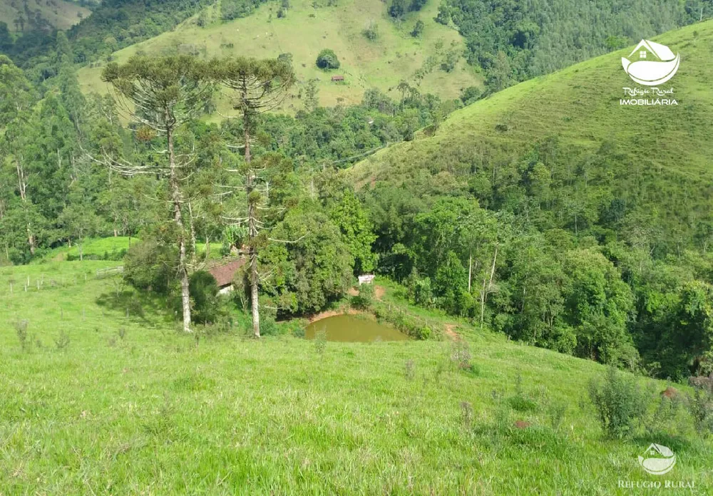 Sítio, 28 hectares - Foto 4