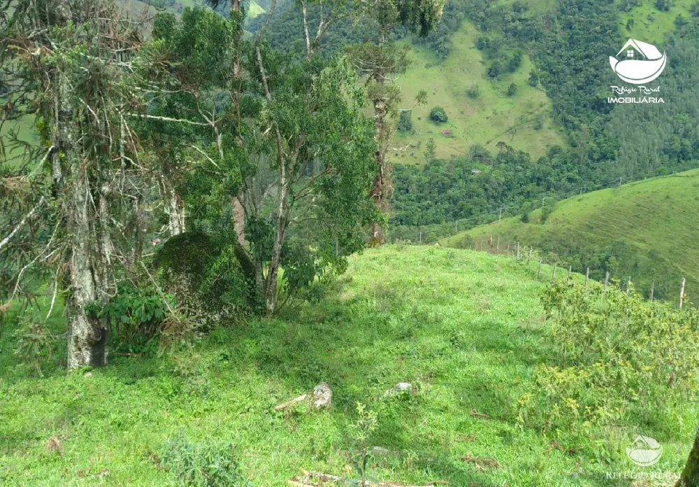 Sítio, 28 hectares - Foto 3