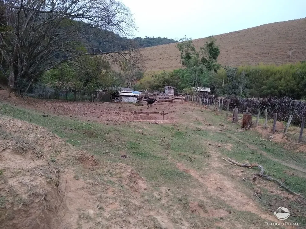 Chácara, 12 hectares - Foto 14