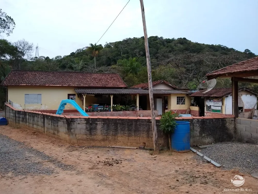 Chácara, 12 hectares - Foto 15