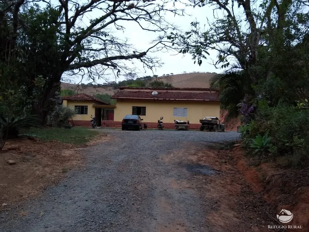 Chácara, 12 hectares - Foto 3