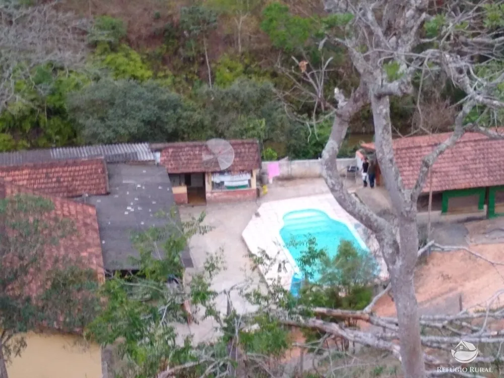 Chácara, 12 hectares - Foto 4