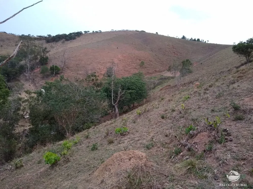 Chácara, 12 hectares - Foto 12