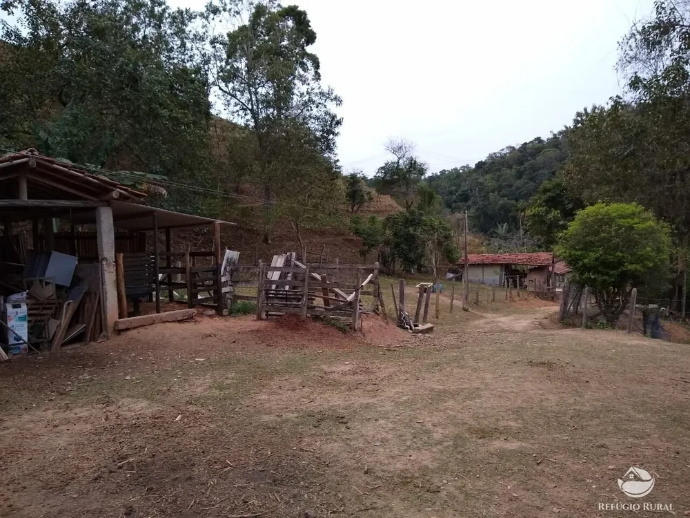 Chácara, 12 hectares - Foto 9