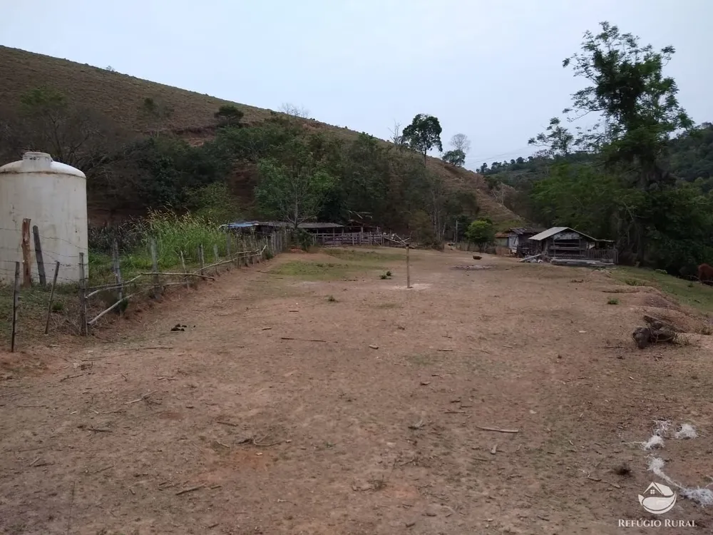 Chácara, 12 hectares - Foto 10