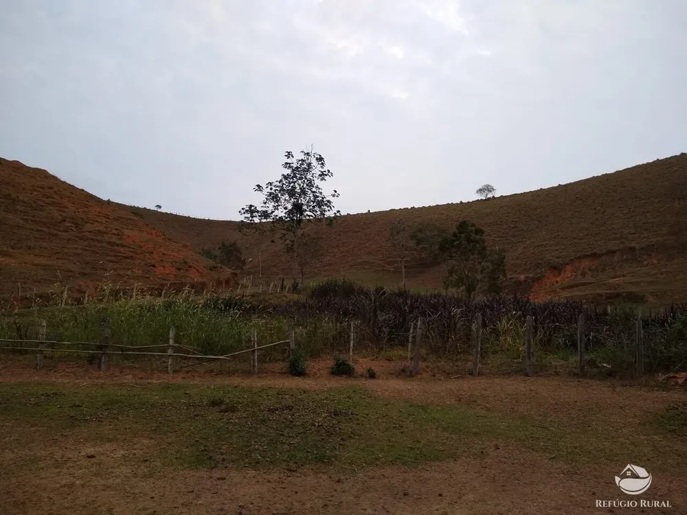 Chácara, 12 hectares - Foto 16