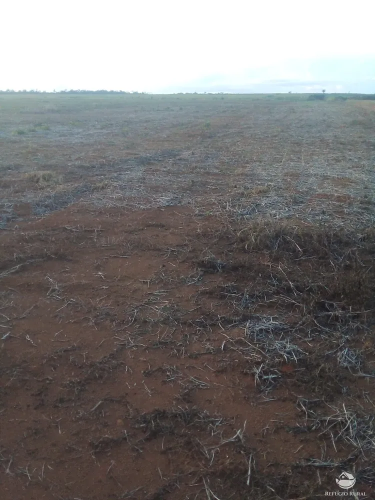 Fazenda, 50 hectares - Foto 1