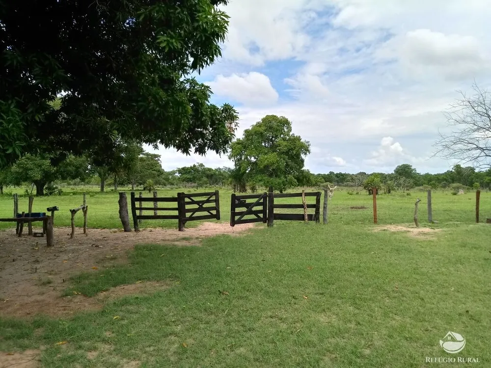 Fazenda, 955 hectares - Foto 2